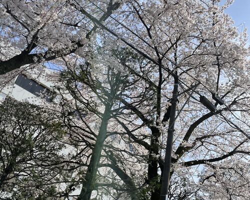 B065B0E5-42F3-42E5-A4C9-A0146B812FFE