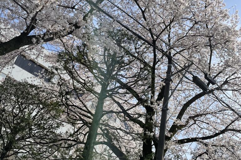 B065B0E5-42F3-42E5-A4C9-A0146B812FFE