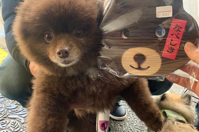 FFA75B27-A215-4B5D-BF53-C993F0DAAEF2