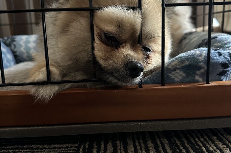 5591F3BE-551E-4D26-945E-DCCCE5CE434E