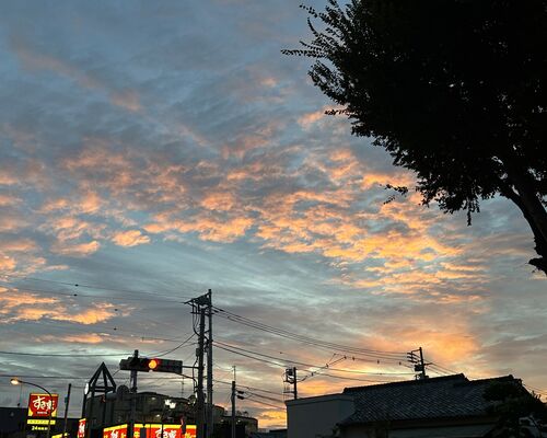 49ED930A-D492-4EA9-B28E-B8B289F0C961