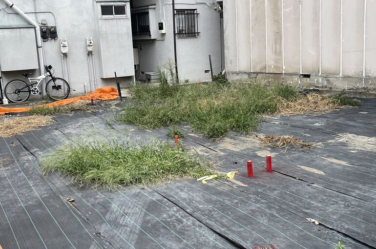 D23E51CF-0DE8-46BC-840A-D7C4B52BC800