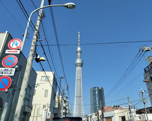 IMG20260312083944