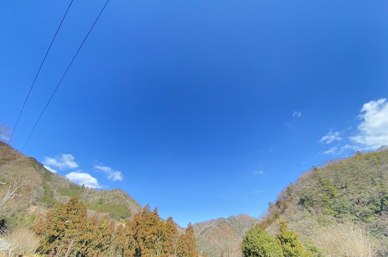 56B01810-D0D9-47A1-B2E7-BA0206BEF947